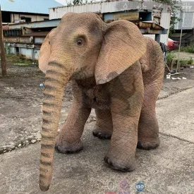 Baby Elephant Prop Halloween Costume-DCEP004