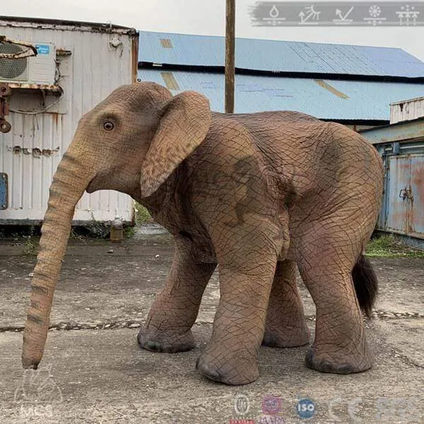 Baby Elephant Prop Halloween Costume-DCEP004